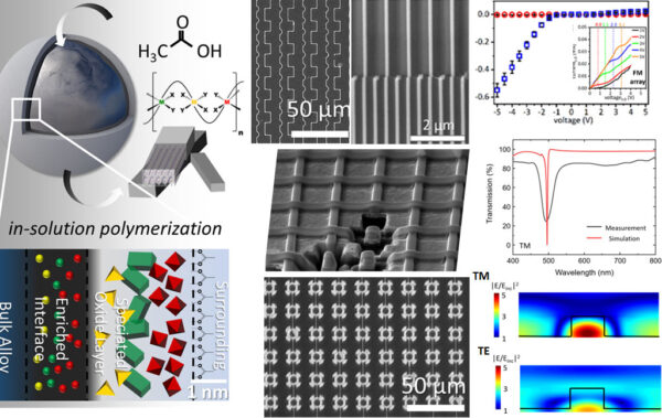 Self-assembled microelectronics